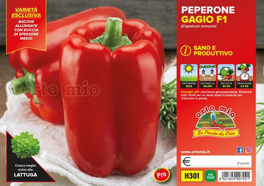 Pimiento Linares F1 Cuadrado Rojo 6 Plantas En Pack