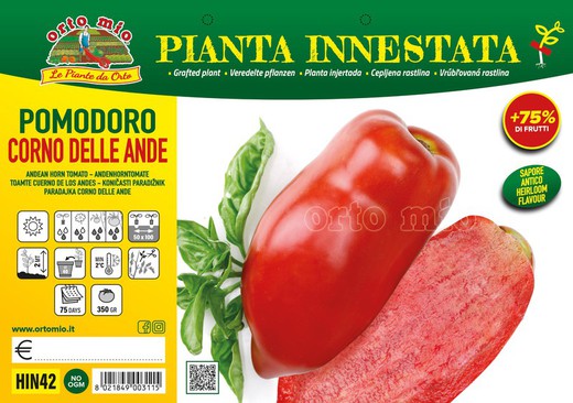 Plantio Tomate Cuerno De Los Andes 1 Planta en M-14 Injertada