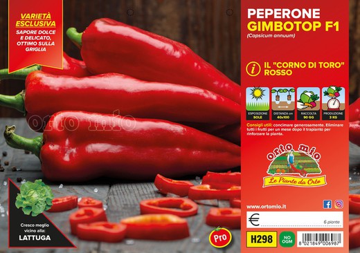 Pimiento Cuerno Rojo 6 Plantas En Pack