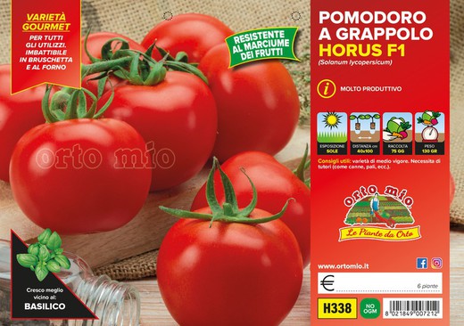 Tomate En Racimo Horus 6 Plantas en Pack
