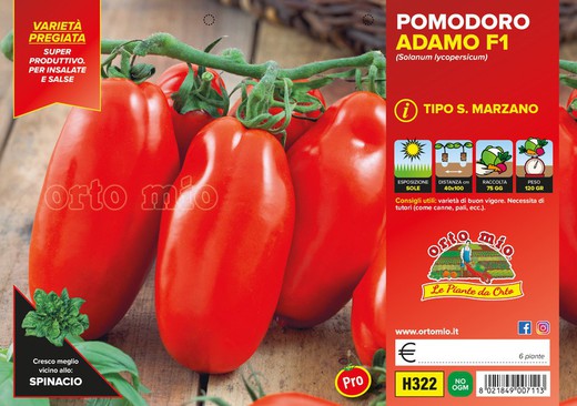 Tomate Marzano Adamo 6 Plantas En Pack