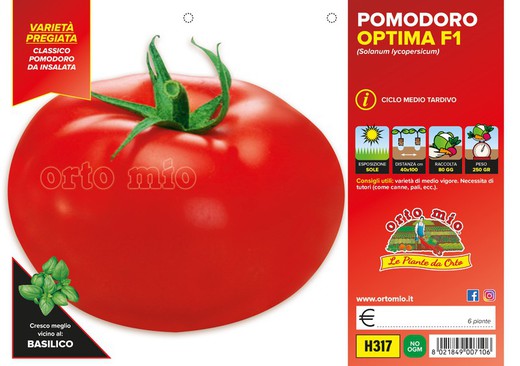Tomate Redondo Optima 6 Plantas En Pack