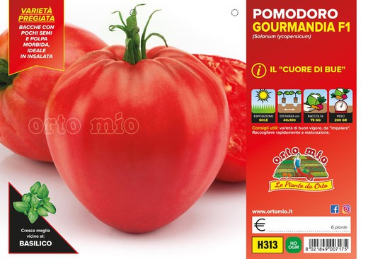 Tomate Corazón De Buey Clásico 6 Plantas en Pack