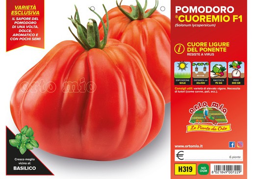 Tomate Corazón de Ligure 6 Plantas en Pack