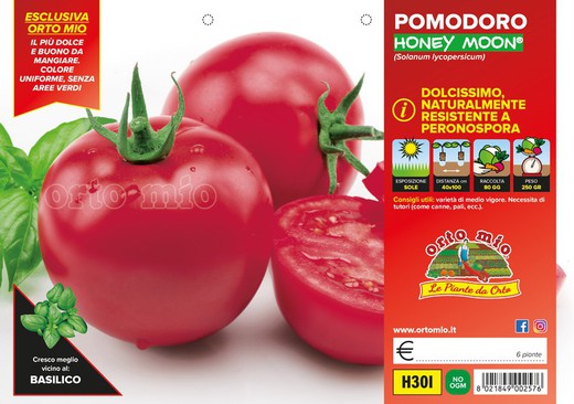 Tomate Redondo Resistente Honey Moon