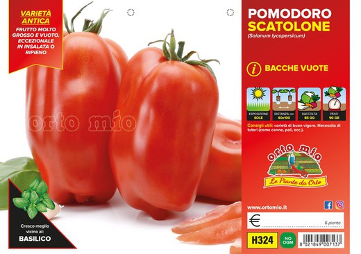 Tomate Scatalone San Marzano 6 Plantas en Pack