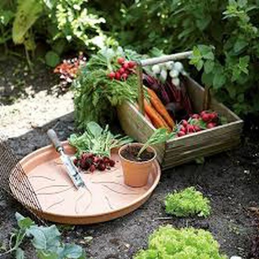 Accesorios macetas y jardineras