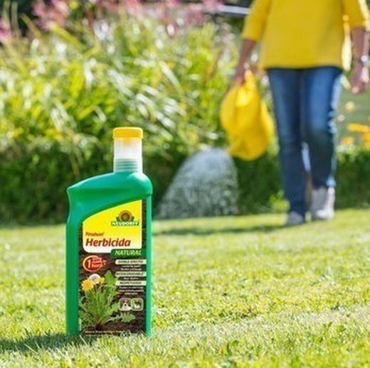 Fungicidas e insecticidas