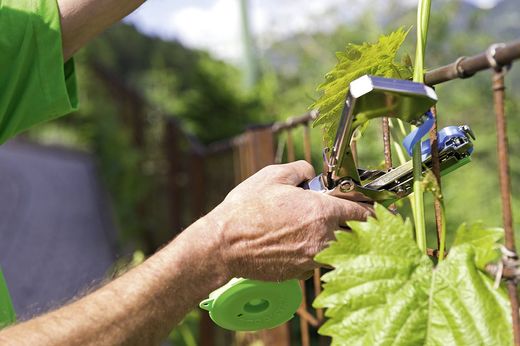 Herramientas y utensilios para un jardín fácil