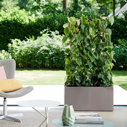 Jardineras terraza y balcón