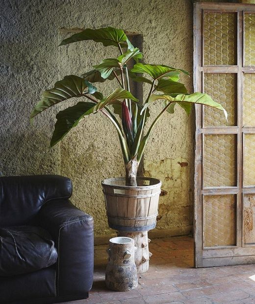 Plantas artificiales