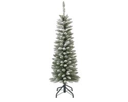 Abeto estrecho verde con efecto nevado