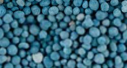 Abono citricos 8 x 750gr Compo®