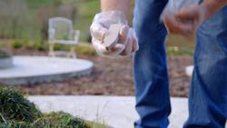 Abono clavos arboles 4ud Flower