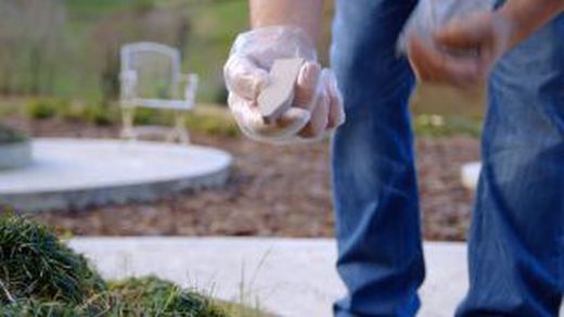 Abono clavos arboles 4ud Flower