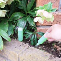 Abono líquido para bonsái Yorkei en botellas de 35ml