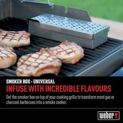 Ahumador universal Weber