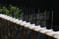 ALASTOP - 2m De Barrera Disuasoria de Aves