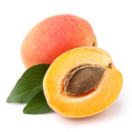 ALBARICOQUE GALTA Prunus armeniaca 6/8 C-25