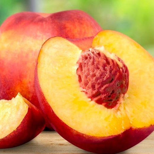 ALBARICOQUE  CANINO Prunus armeniaca 4/6 C-19