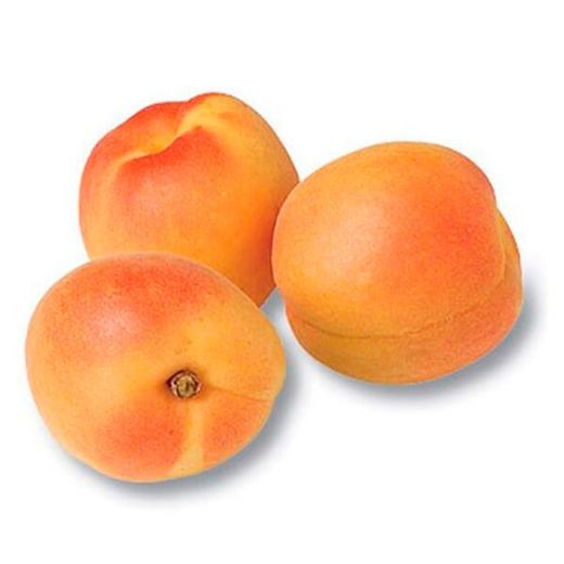 ALBARICOQUE CANINO Prunus armeniaca 6/8 C-25