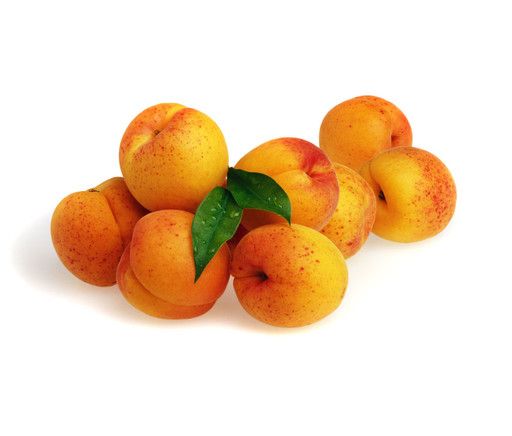 ALBARICOQUE  COLOMER Prunus armeniaca 4/6 C-19