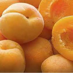 ALBARICOQUE CORBATO Prunus armeniaca 4/6 C-19