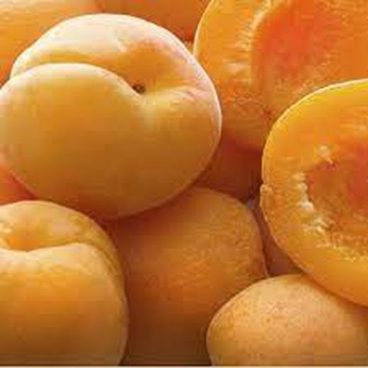 ALBARICOQUE CORBATO Prunus armeniaca 4/6 C-19