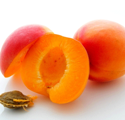 Albaricoque Luizet C-24 ITALIA