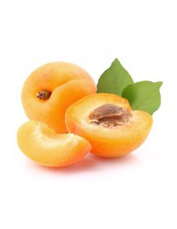 ALBARICOQUE MONIQUI Prunus armeniaca 6/8 C-25
