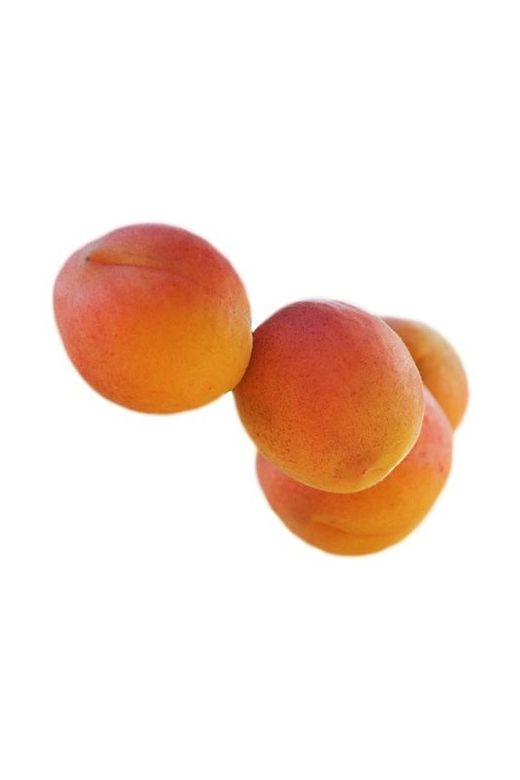 Albaricoque Rojo Rosellon C-24  ITALIA