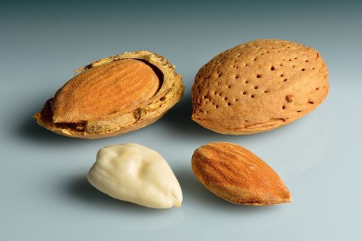 Almendra Duro CT.42  ITALIA