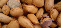 Almendra Licitacion CT.30  ITALIA