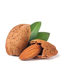 ALMENDRO  Prunus persica FERREDUEL  6/8 C-24  ITALIA