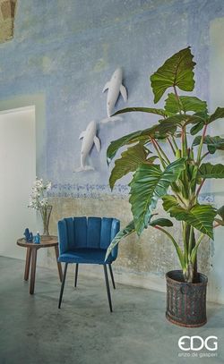 Alocasia Chic C/Vaso H200 (16FG) B5