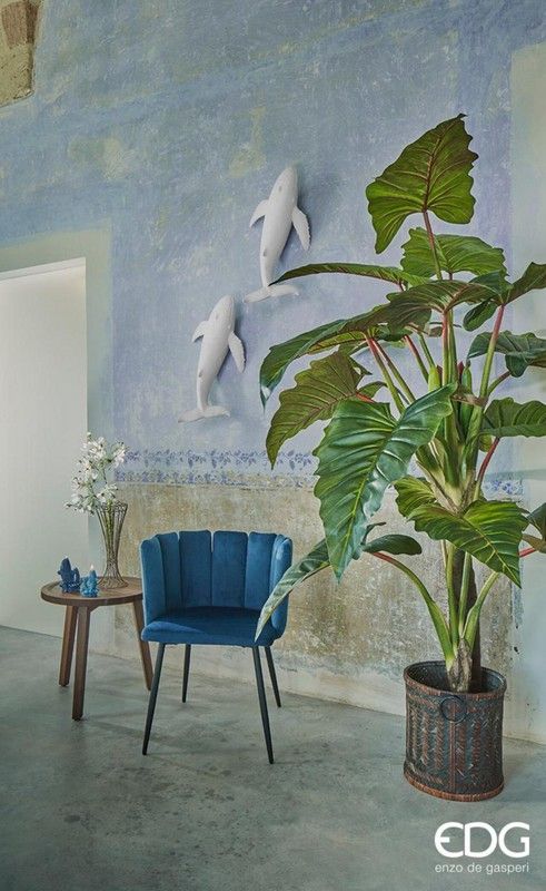 Alocasia Chic C/Vaso H200 (16FG) B5