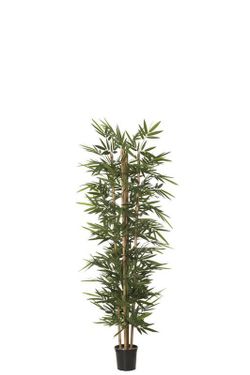 Árbol Bambú X5 120cm