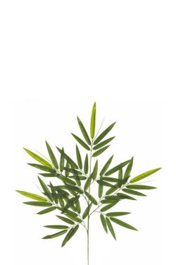 Árbol Bambú X5 120cm