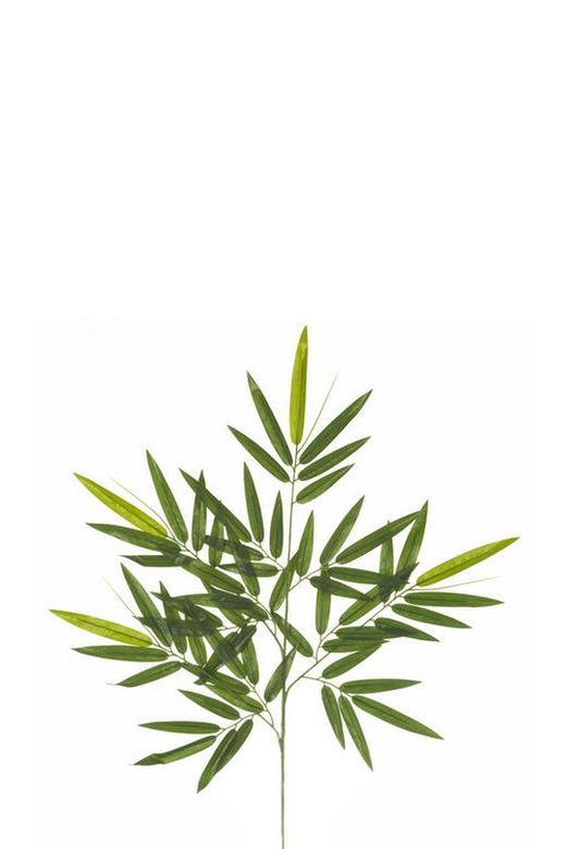 Árbol Bambú X5 120cm
