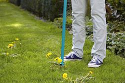 Arrancador de raíz Gardena