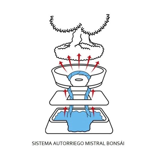 Auto riego para bonsai 25cm