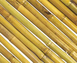 Valla Bamboo Flex 1x3m Nortene