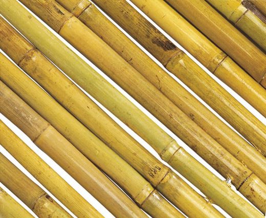 Valla Bamboo Flex 1,5x3m Nortene