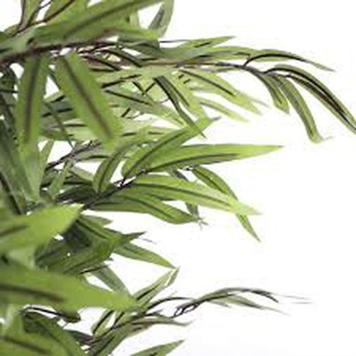 Bambú verde en maceta de plástico - h180xd75cm