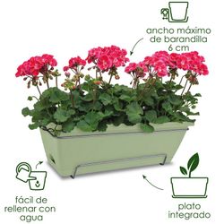 Barcelona All In 50cm