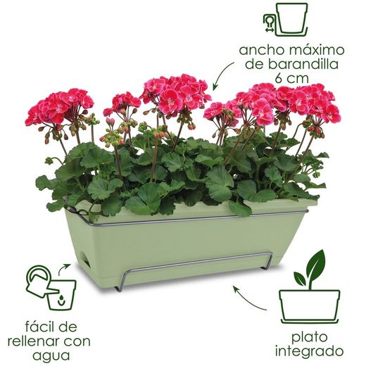 Barcelona All In 50cm