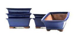 Tiesto rectangular Basic Class 15cm en color azul