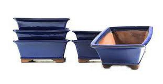 Tiesto rectangular Basic Class 15cm en color azul