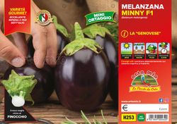 Berenjena Genovese 6 Plantas En Pack