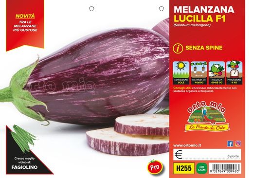 Berenjena Rayada Lucilla F1  6 Plantas en Pack